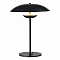 Настольная лампа интерьерная ST LUCE SL6502.404.01