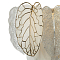 Бра Citilux CL328350