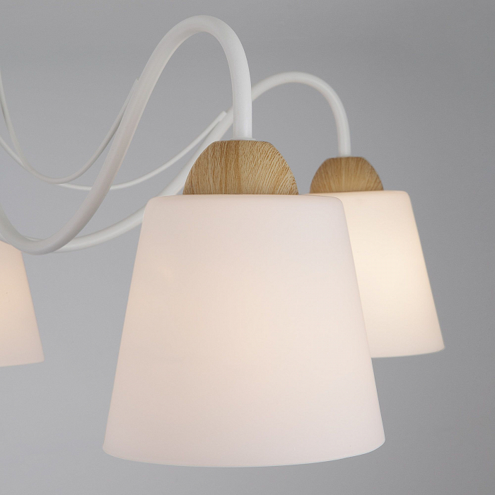 Люстра Eurosvet 70062/5 белый